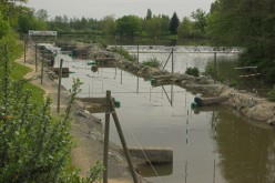 CESSON-SEVIGNE : le bassin d'eau vive- image 32