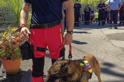 interceltique-2018-image14220-bagad-des-sapeurs-pompiers-du-morbihan