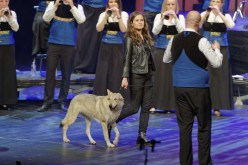 Penhars-Brest-le-10-02-2019-19430