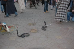 Marrakech 03C