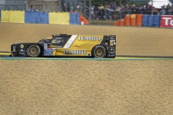 Le-Mans-2019-AUPIED-14187 Dallara #29