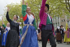 Festival interceltique - Délégation ÃŽle-de-France - D420459