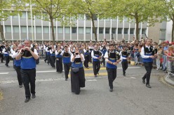 Festival interceltique - Bagad Penhars - D419597
