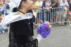 Festival interceltique - Cercle Ar Pintiged Foen - D419377