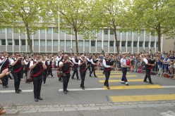 Festival interceltique - Bagad Sant-Nazer - D420079