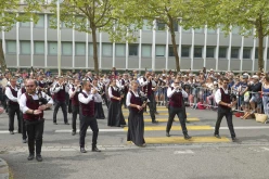 Festival interceltique - Bagad Boulvriag - D419473