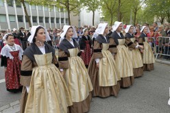 Festival interceltique - Cercle celtique de Vannes - D419783