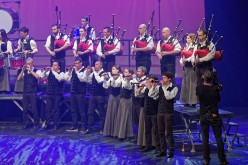 D426977Aupied-Perros