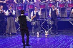 D426973Aupied-Perros