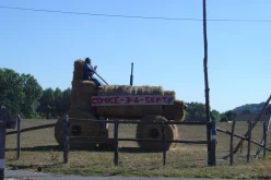 DSC02503c