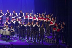 D426454Aupied-CapCaval