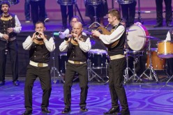 D427086Aupied-MoulinVert