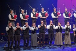 D427017Aupied-Perros