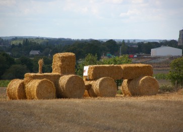 Galerie 06 : Au pied des chateaux de Paille