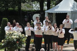 Festival interceltique 2012-487 bagad Saozon Sevigneg