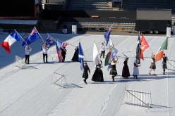 D422991-Drapeaux des Nations Celtes