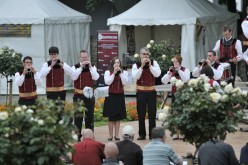 Festival interceltique 2012-673 bagad St Ewan Bubry