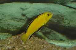 DSC01175c