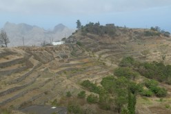 Cap-Vert-2025-P1060623PYA