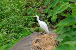 Cap-Vert-2025-P1060763PYA