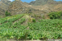 Cap-Vert-2025-P1060776PYA