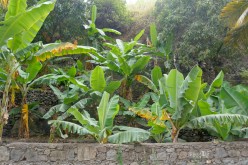 Cap-Vert-2025-P1060841PYA