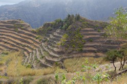 Cap-Vert-2025-P1060632PYA