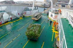 Cap-Vert-2025-P1060936PYA