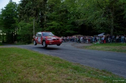 Guillaume DEMEAUTIS - rallye du Morbihan 2025-3052D4C