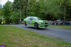 Serge SALVADOR - rallye du Morbihan 2025-2835D4C