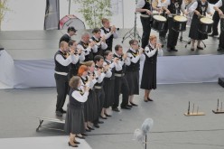 interceltique Lorient 2013-BAGAD AR MEILHOU GLAZ 015