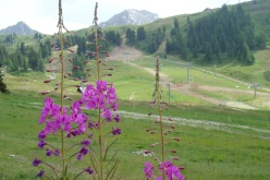 La Plagne 009