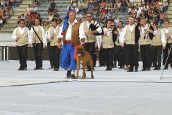 interceltique-2014-Quic-en-Groigne 25