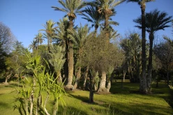 Marrakech 01C