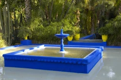 Majorelle 07C