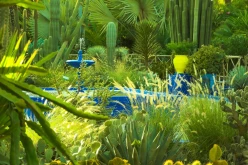 Majorelle 09C
