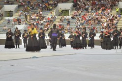 pya-interceltique-2014-parade 74