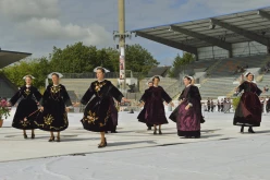 pya-interceltique-2014-parade 57