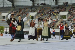 pya-interceltique-2014-parade 65