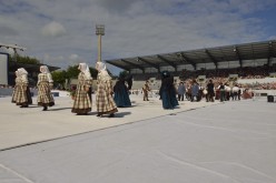 pya-interceltique-2014-parade 47
