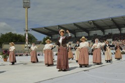 pya-interceltique-2014-parade 49