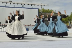 pya-interceltique-2014-parade 69