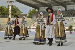 pya-interceltique-2014-parade 39