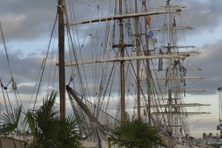 Route-du-Rhum-2014-PA06256