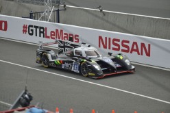 #24LM PA08513