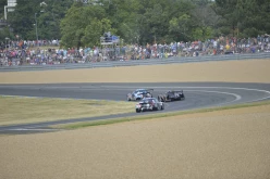 #24LM PA08437
