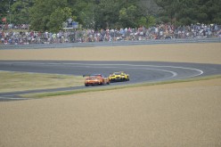 #24LM PA08430