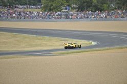 #24LM PA08399