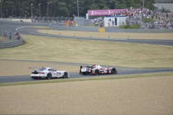 #24LM PA08439