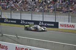#24LM PA08479